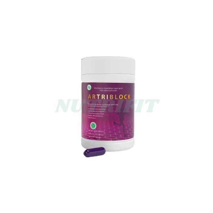 Artriblock - capsules for joint repair